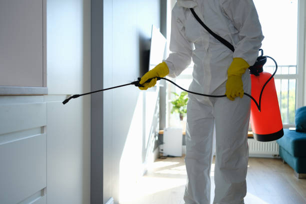 Best Residential Mold Removal  in Westmere, NY
