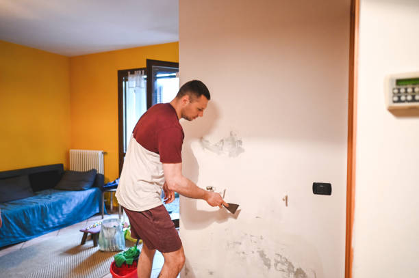 Best Commercial Mold Removal  in Westmere, NY